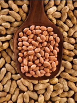 Close-up of raw peanut kernels placed in a wooden spoon, surrounded by whole peanuts in shells.